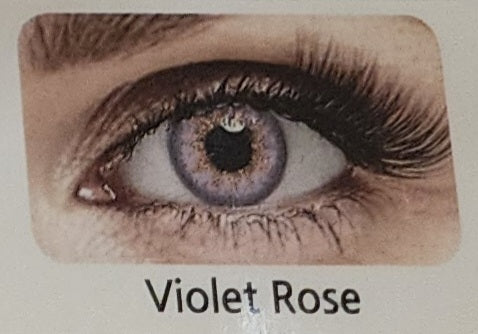 Bella - Violet Rose